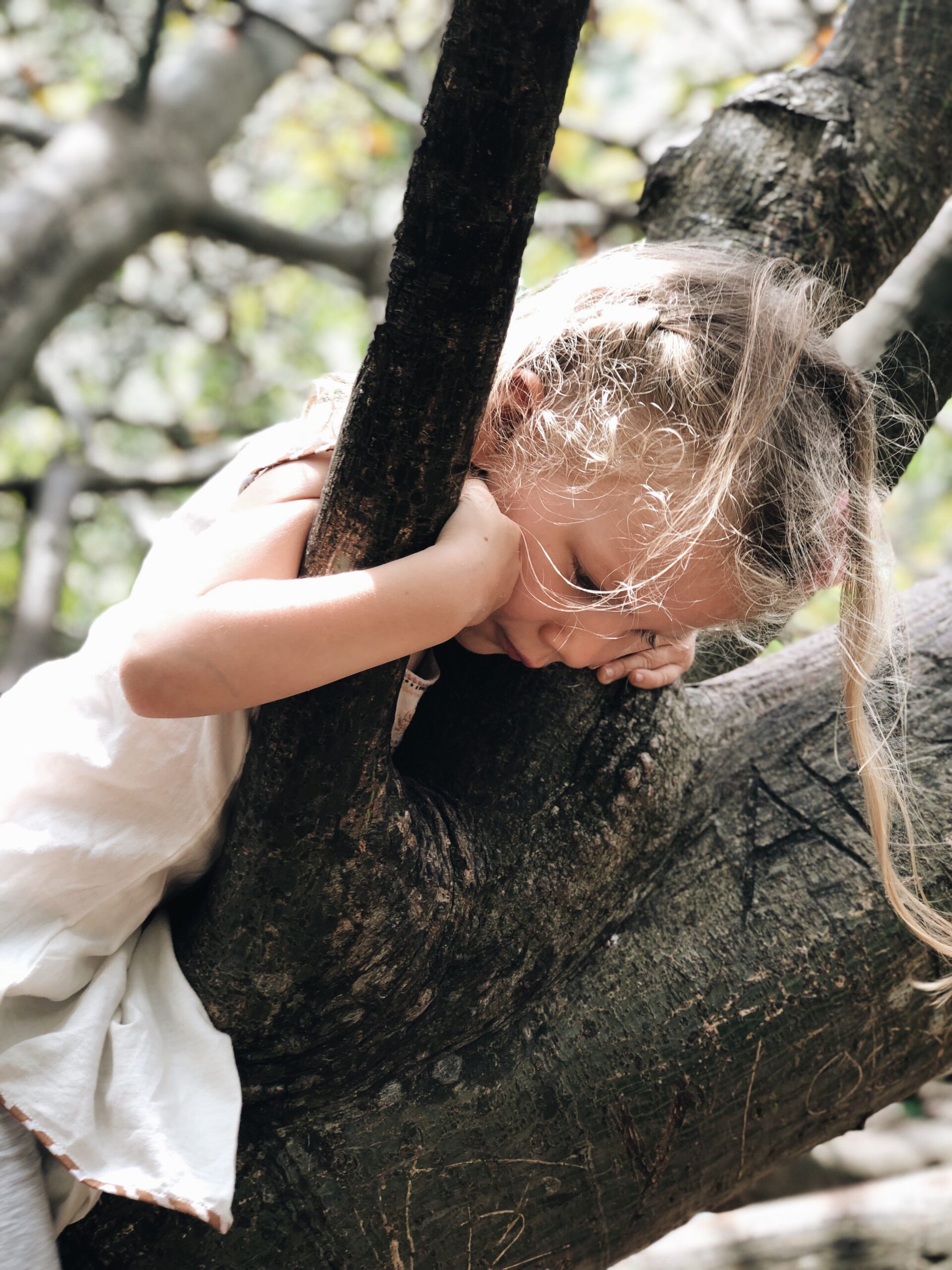 The Power of Readiness – Conquering the Tree