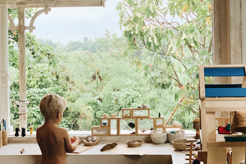 Boy with his back to the camera plays with toys on a low shelf against a window